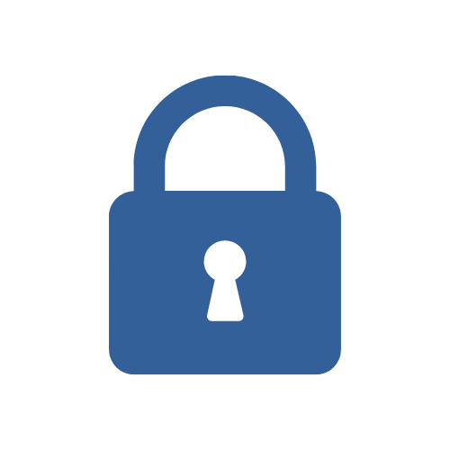 Secure Data Transfer Icon